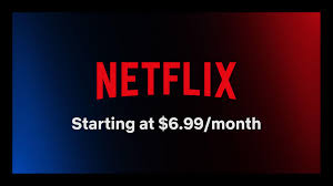 Netflix subscription